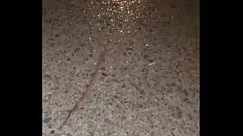play Rêver au son de la pluie asmr tout en regardant un ver s'éloigner de la caméra sur un sol humide